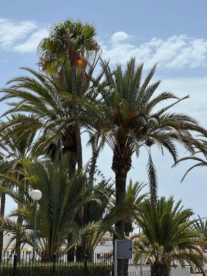 San Agustin Apartments , Close To The Beach, With Pool! San Bartolomé 0*,